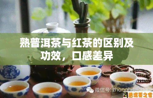 熟普洱茶与红茶的区别及功效，口感差异