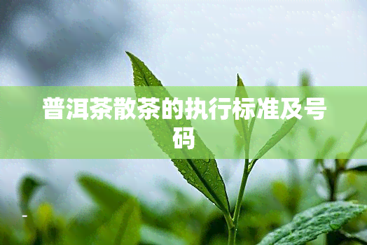 普洱茶散茶的执行标准及号码