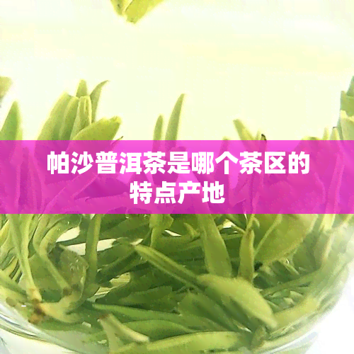 帕沙普洱茶是哪个茶区的特点产地