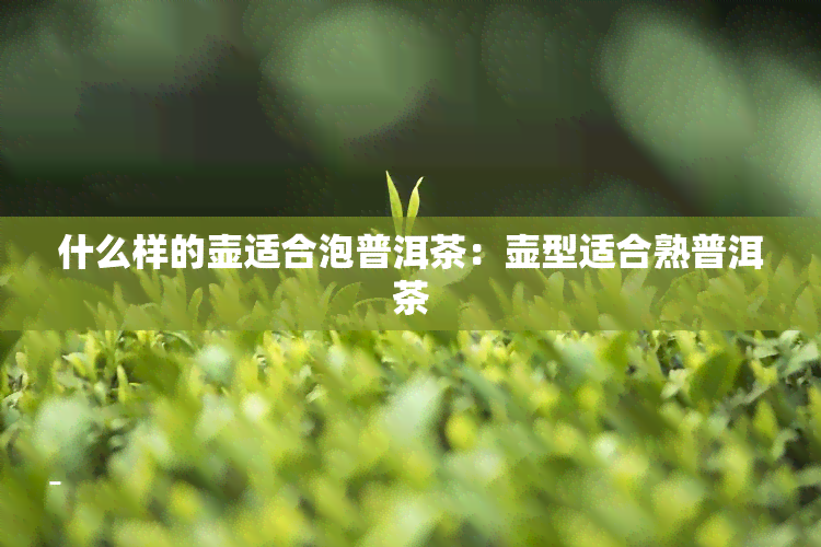 什么样的壶适合泡普洱茶：壶型适合熟普洱茶