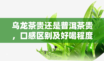 乌龙茶贵还是普洱茶贵，口感区别及好喝程度？