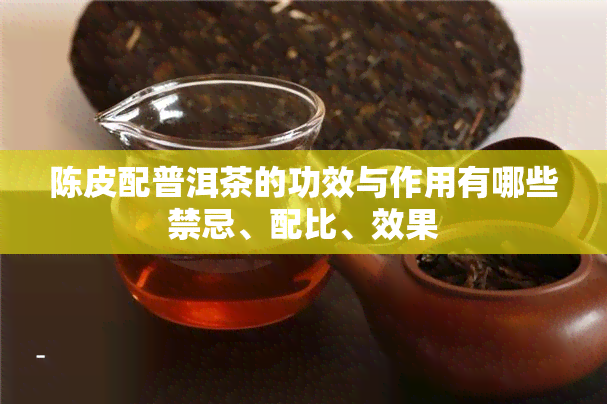 陈皮配普洱茶的功效与作用有哪些禁忌、配比、效果