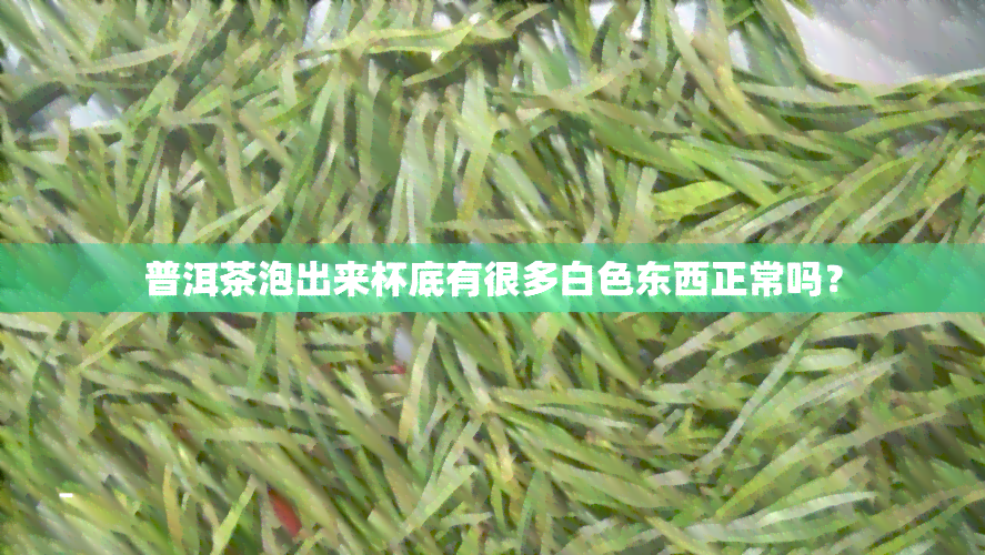 普洱茶泡出来杯底有很多白色东西正常吗？