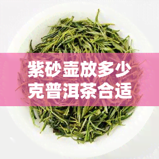 紫砂壶放多少克普洱茶合适