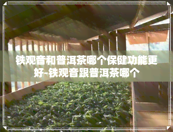 铁观音和普洱茶哪个保健功能更好-铁观音跟普洱茶哪个