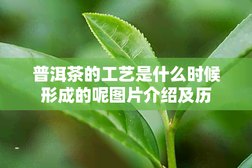 普洱茶的工艺是什么时候形成的呢图片介绍及历