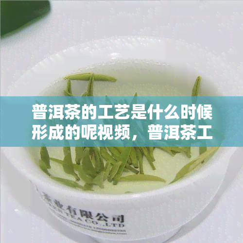 普洱茶的工艺是什么时候形成的呢视频，普洱茶工艺演变：历背后的味道