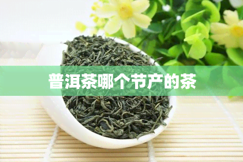 普洱茶哪个节产的茶