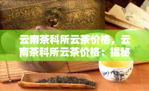 云南茶科所云茶价格，云南茶科所云茶价格：揭秘茶叶市场的行情与趋势