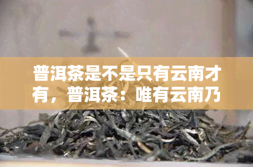 普洱茶是不是只有云南才有，普洱茶：唯有云南乃发源之地？