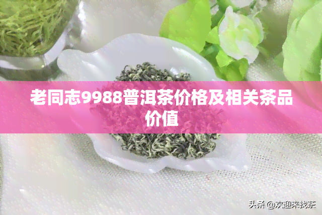 老同志9988普洱茶价格及相关茶品价值