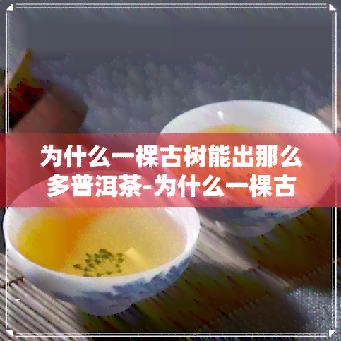 为什么一棵古树能出那么多普洱茶-为什么一棵古树能出那么多普洱茶呢