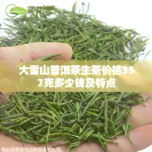 大雪山普洱茶生茶价格357克多少钱及特点