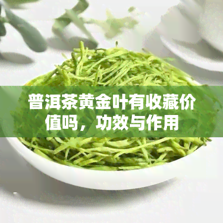 普洱茶黄金叶有收藏价值吗，功效与作用