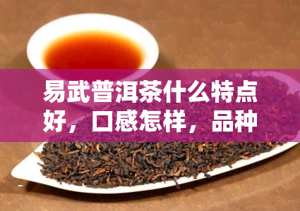 易武普洱茶什么特点好，口感怎样，品种有哪些