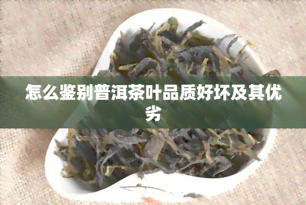 怎么鉴别普洱茶叶品质好坏及其优劣