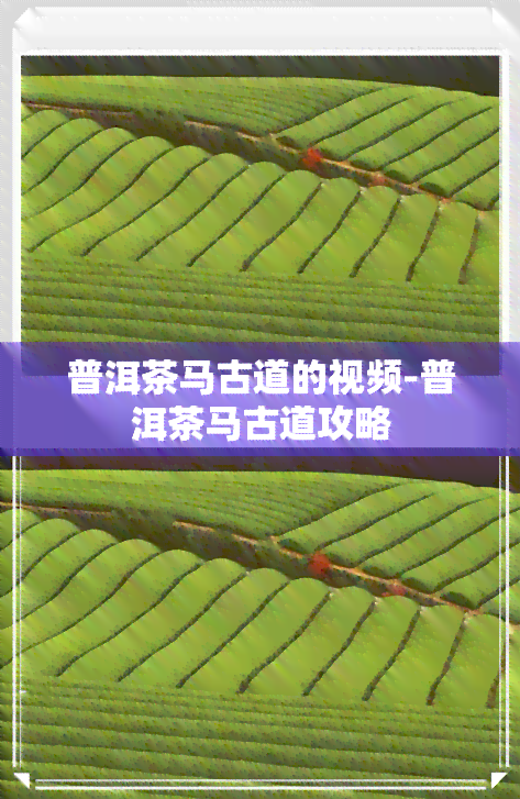 普洱茶马古道的视频-普洱茶马古道攻略