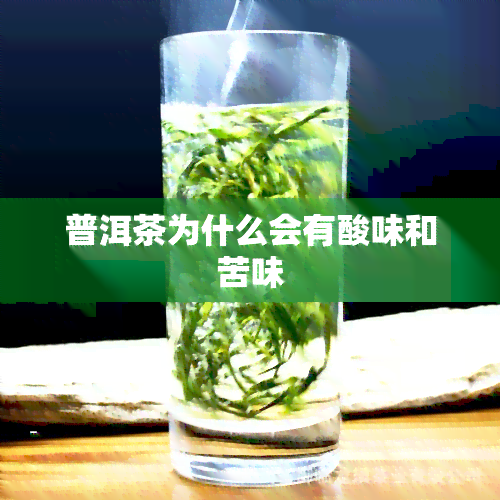 普洱茶为什么会有酸味和苦味