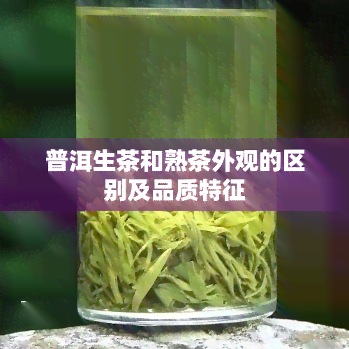 普洱生茶和熟茶外观的区别及品质特征