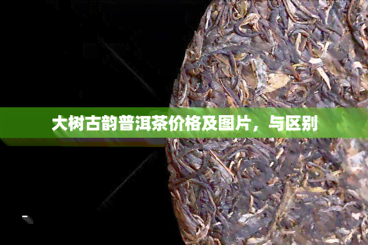 大树古韵普洱茶价格及图片，与区别