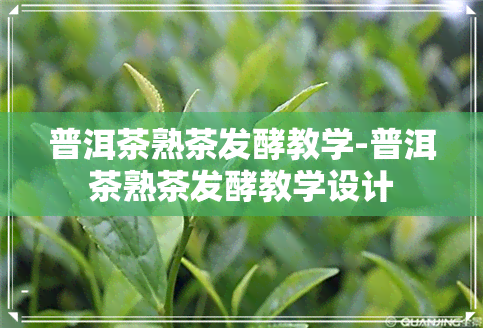 普洱茶熟茶发酵教学-普洱茶熟茶发酵教学设计