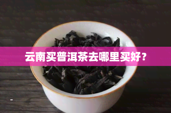 云南买普洱茶去哪里买好？