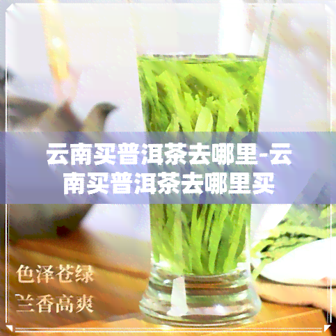 云南买普洱茶去哪里-云南买普洱茶去哪里买