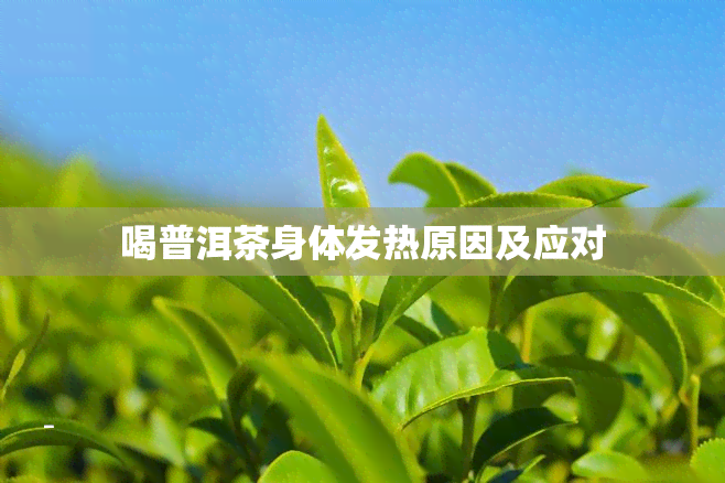 喝普洱茶身体发热原因及应对