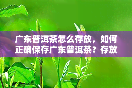 广东普洱茶怎么存放，如何正确保存广东普洱茶？存放技巧解析