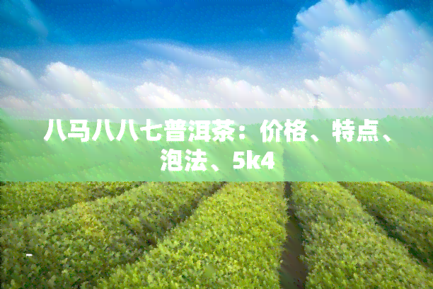 八马八八七普洱茶：价格、特点、泡法、5k4