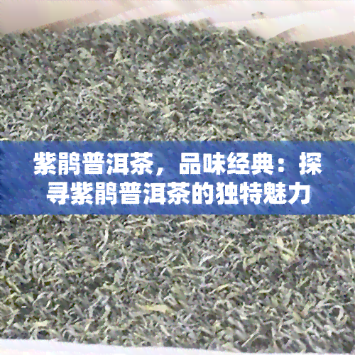 紫鹃普洱茶，品味经典：探寻紫鹃普洱茶的独特魅力