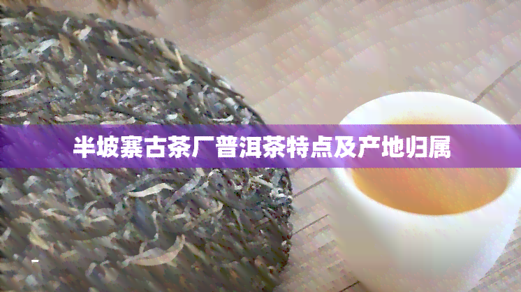 半坡寨古茶厂普洱茶特点及产地归属