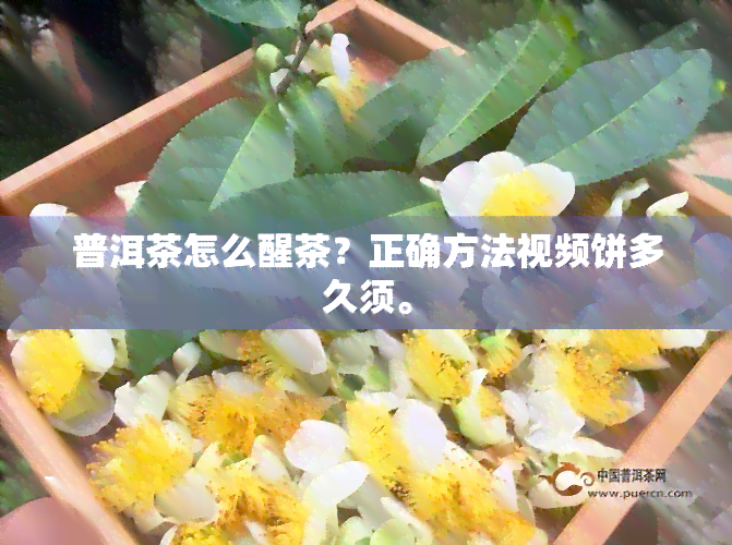 普洱茶怎么醒茶？正确方法视频饼多久须。