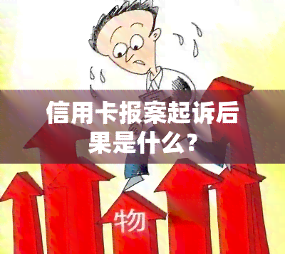 信用卡报案起诉后果是什么？