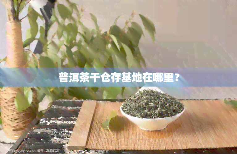 普洱茶干仓存基地在哪里？