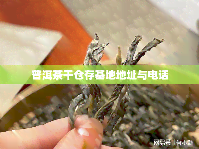 普洱茶干仓存基地地址与电话