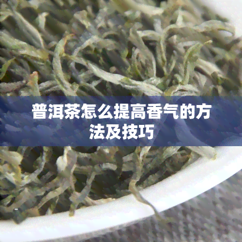 普洱茶怎么提高香气的方法及技巧