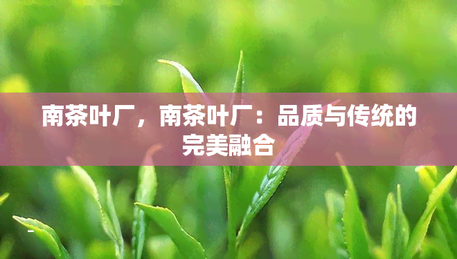 南茶叶厂，南茶叶厂：品质与传统的完美融合