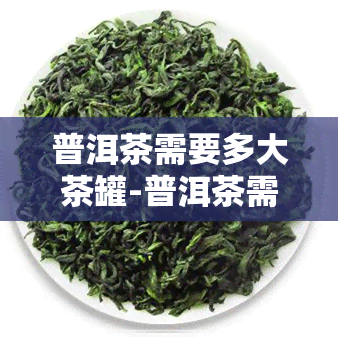 普洱茶需要多大茶罐-普洱茶需要多大茶罐才能喝