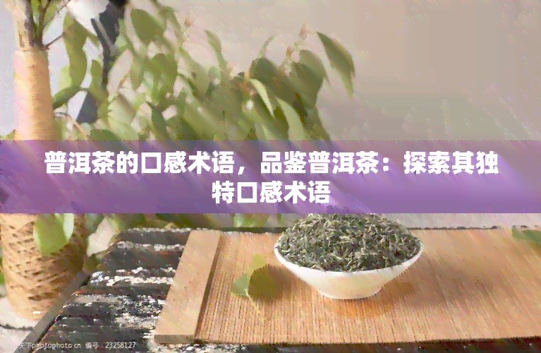 普洱茶的口感术语，品鉴普洱茶：探索其独特口感术语