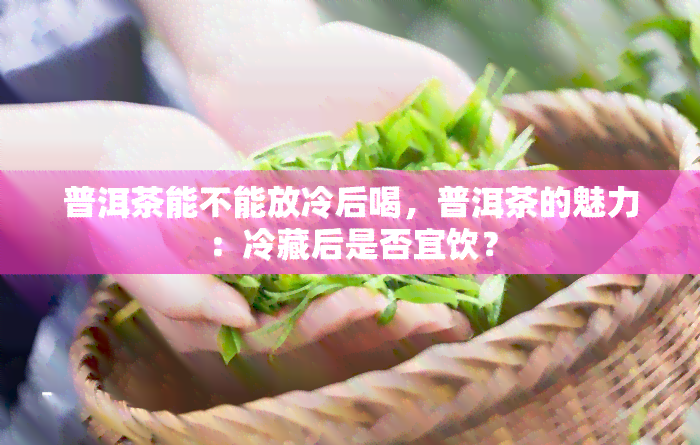 普洱茶能不能放冷后喝，普洱茶的魅力：冷藏后是否宜饮？