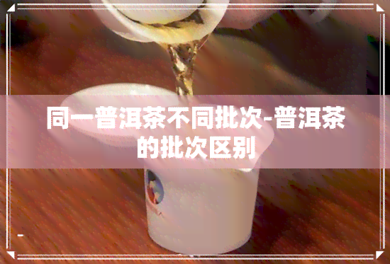 同一普洱茶不同批次-普洱茶的批次区别