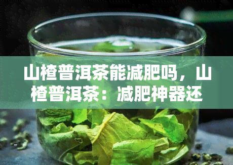 山楂普洱茶能减肥吗，山楂普洱茶：减肥神器还是谣言？