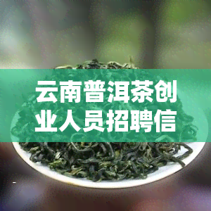 云南普洱茶创业人员招聘信息