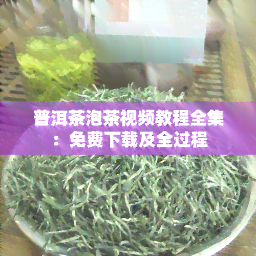 普洱茶泡茶视频教程全集：免费下载及全过程