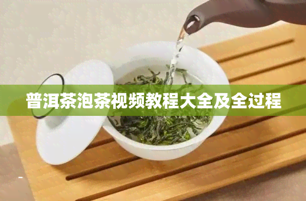 普洱茶泡茶视频教程大全及全过程