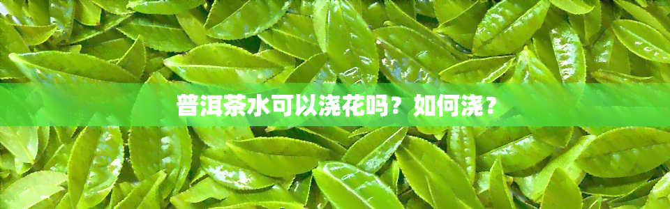 普洱茶水可以浇花吗？如何浇？