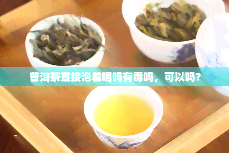 普洱茶直接泡着喝吗有吗，可以吗？