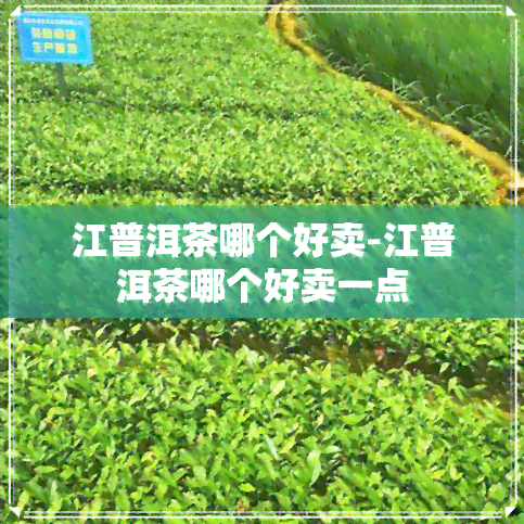 江普洱茶哪个好卖-江普洱茶哪个好卖一点