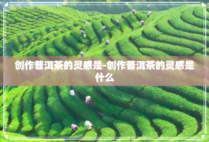 创作普洱茶的灵感是-创作普洱茶的灵感是什么